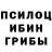 Псилоцибиновые грибы мухоморы var'ko