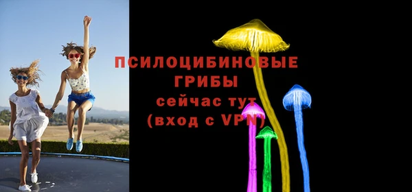 твердый Алексин