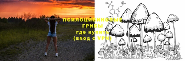 тгк Алзамай