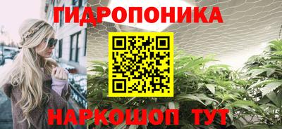 a pvp Берёзовский
