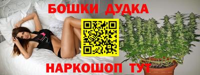a pvp Берёзовский