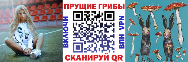 мега ссылки  Бахчисарай  Псилоцибиновые грибы Magic Shrooms 