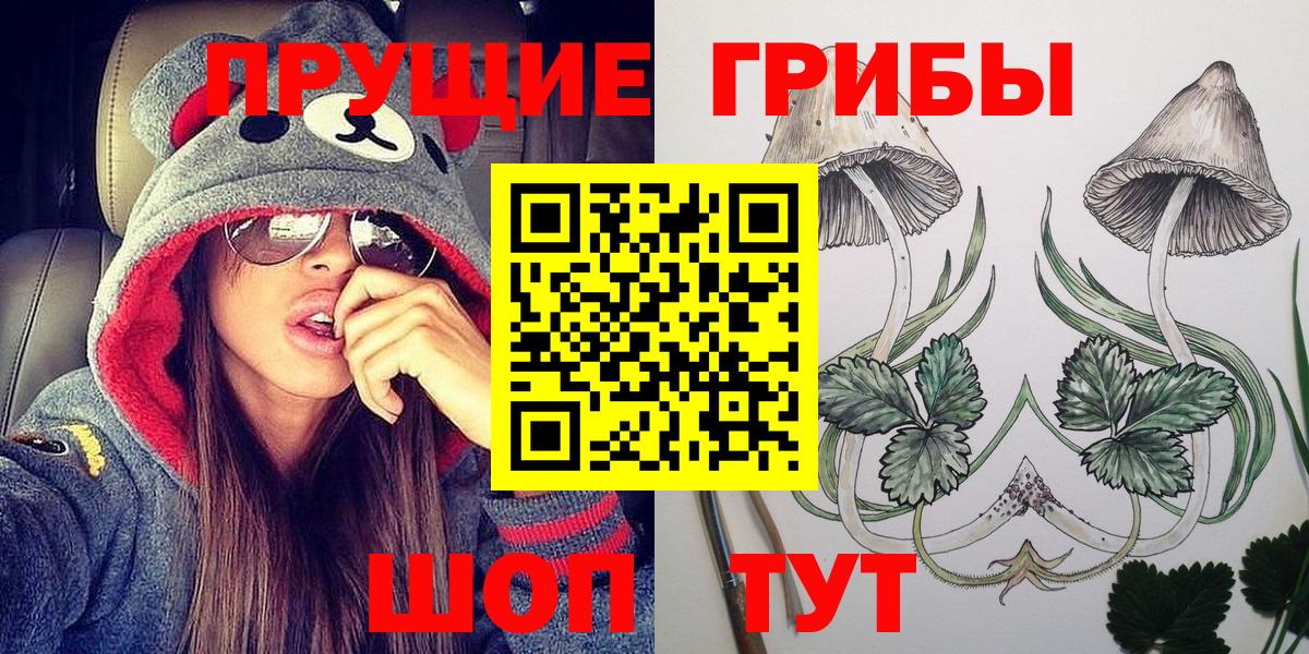 Галлюциногенные грибы Psilocybine cubensis Бахчисарай